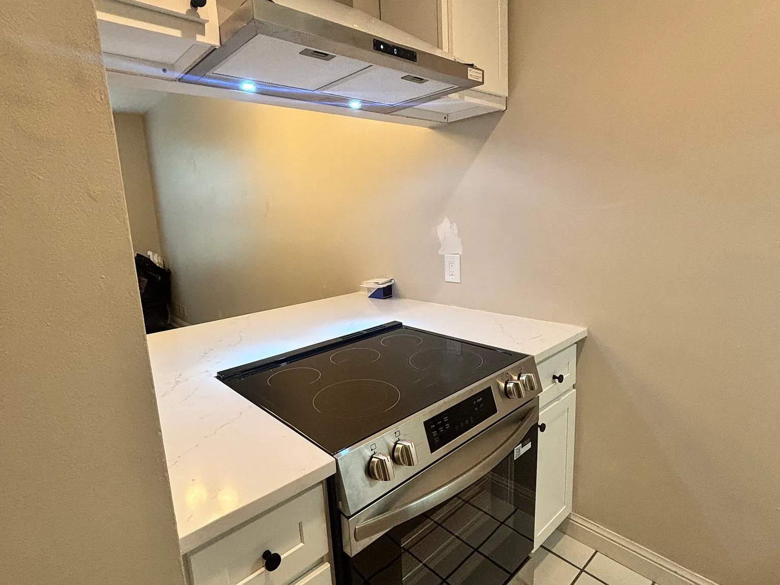 2 bed, 1000 sqft, $1,650 — Photo 3
