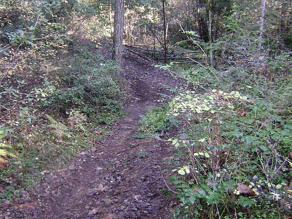 2nd image of 0 Twin Pines Dr