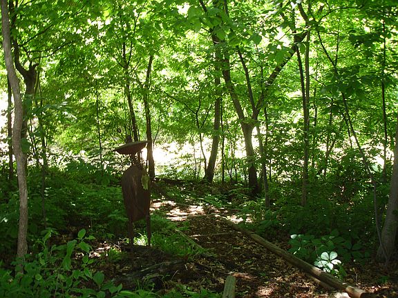 Wooded Backyard - watchout for the alien