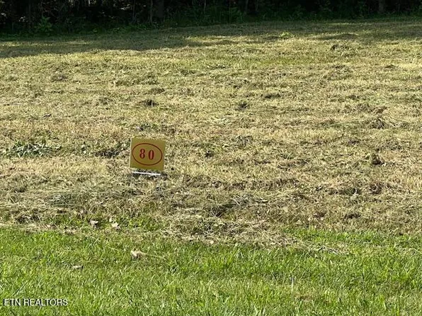 E Shore Dr, Rockwood, TN 37854