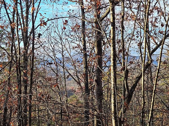5th image of 0 Mason Mountain Dr