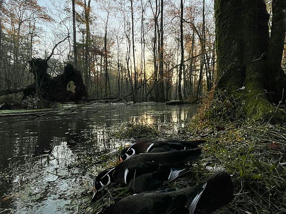 2nd image of 00 Gurman Powell Road