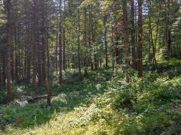 0 Warren Rd #4, North Bonneville, WA 98639