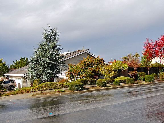 View of house from across the street
