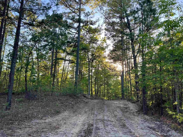 728-898 Brushy Creek Cv, Elizabeth, AR 72531