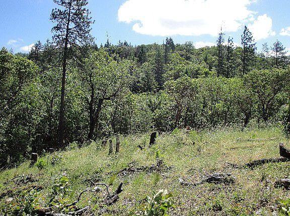 3rd image of 165 Columbia Crst