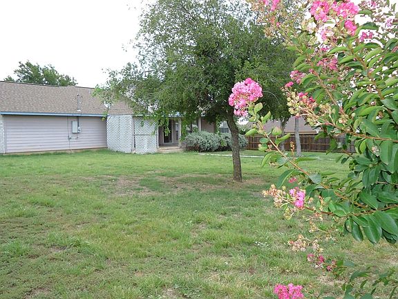 Backyard Crepe Myrtles