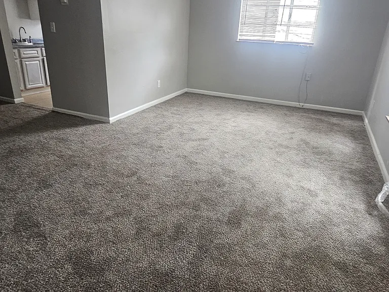 993 Burton Ave #3 — Photo 2
