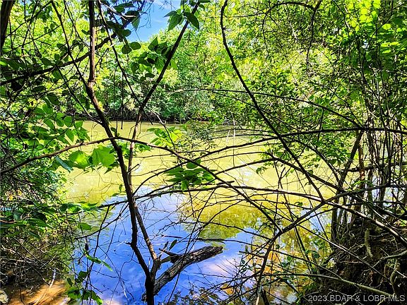 3rd image of Screech Owl Cir