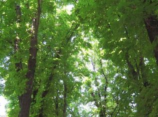 7360 Lake Buffum Rd N, Fort Meade, FL 33841