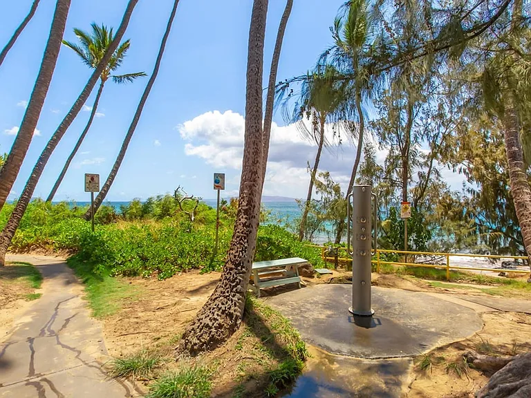 2191 S Kihei Rd #3-ID1035881P — Photo 25