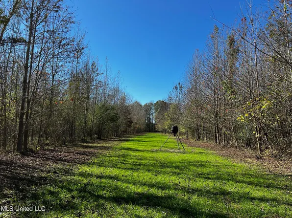 County Road 4167, Sallis, MS 39160