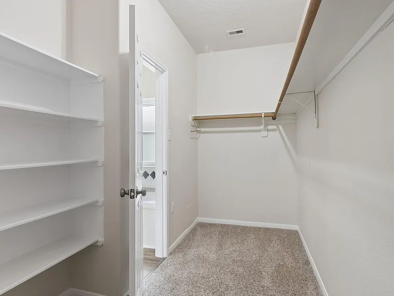 20518 Jasmine Leaf Trl — Photo 18