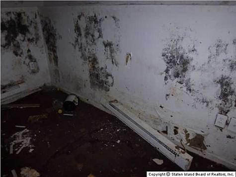 1st image of 18 Webster Ave