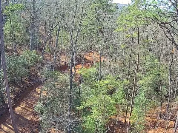 0 Mattie McCall Ln, Clayton, GA 30525