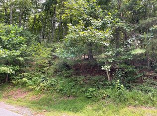 10 Mountain Dr N, Hiawassee, GA 30546
