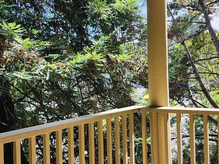 Mandarin Dr — Photo 12