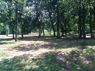 LARGE SHADY BACK YARD