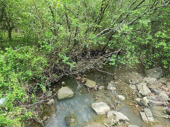 5th image of Polk Rd #117