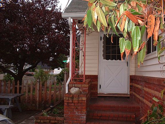 Flower  boxes and plum tree