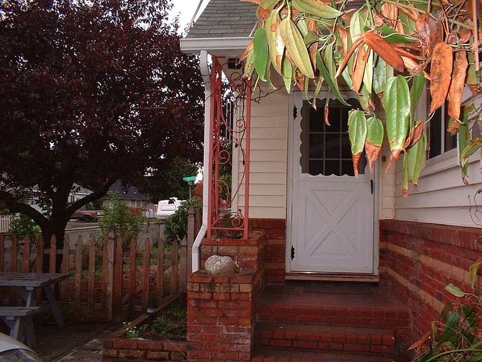Flower  boxes and plum tree