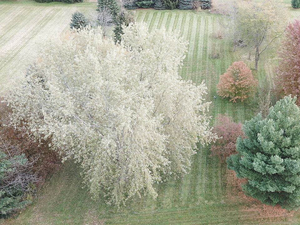 2nd image of 9810 Hunters Ln