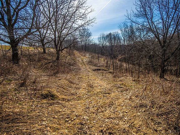 5th image of Whitman Deering Dr