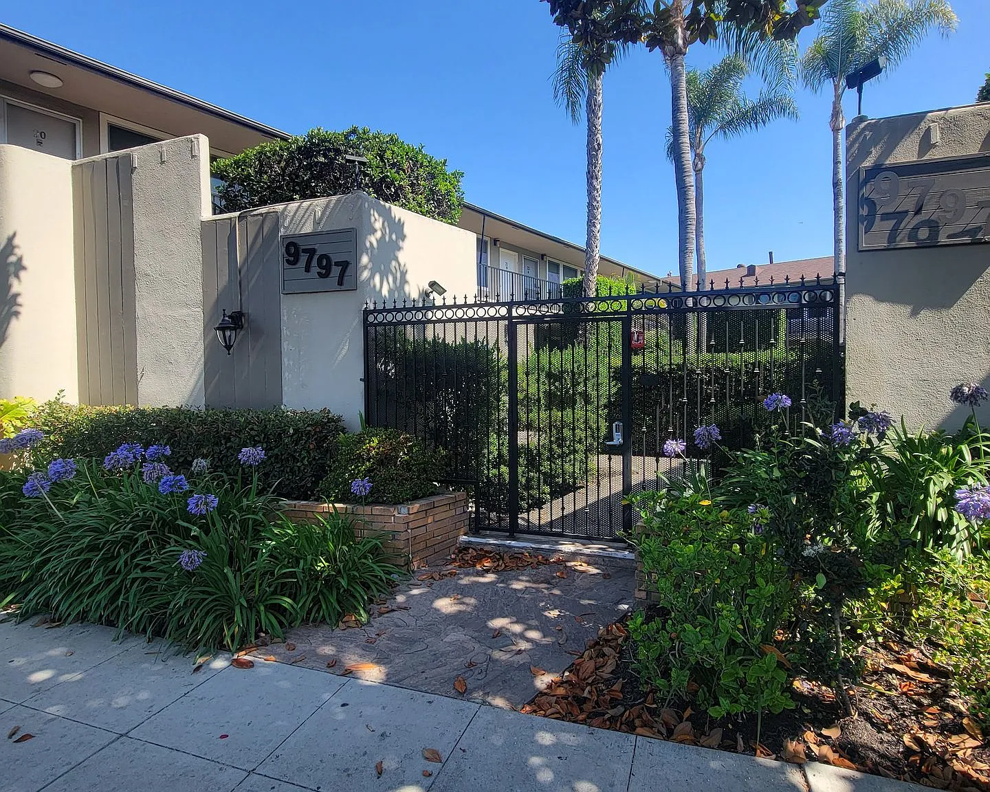 n9797 — Photo 4