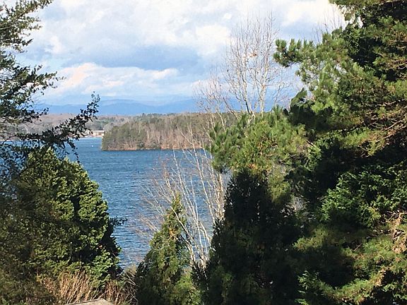 Backyard view
