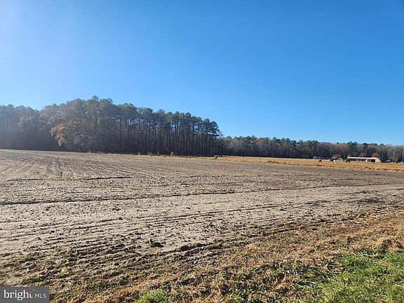 3rd image of LOT 4 Pepperbox Rd