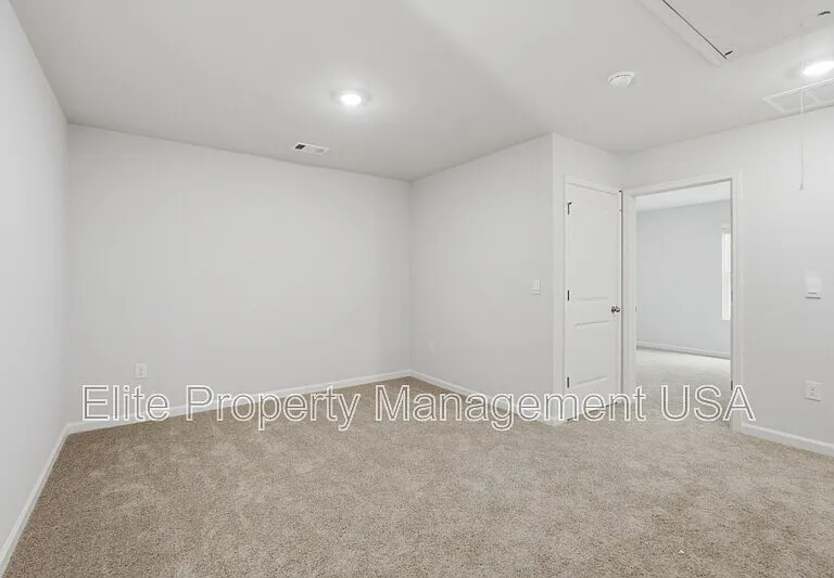 4219 Merlin Pass — Photo 17