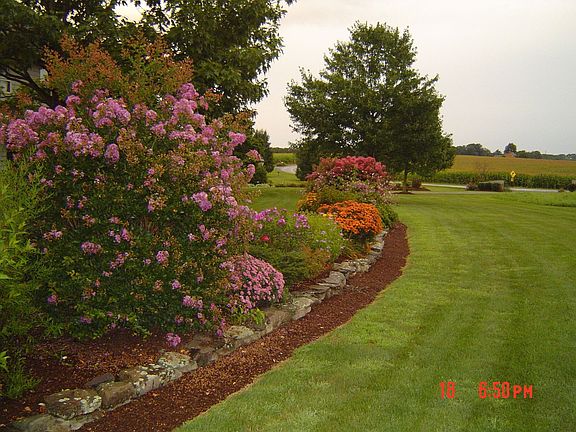 looking east from front yard