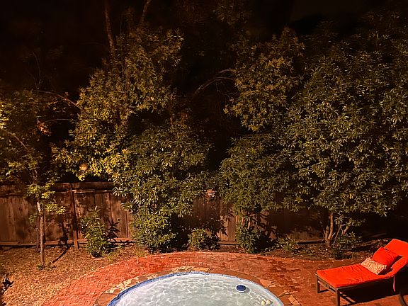 Evening backyard plunge pool