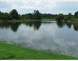 2nd image of 10230 Chatuge Dr