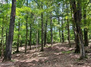 Pearl River Church Rd, Madison, MS 39110