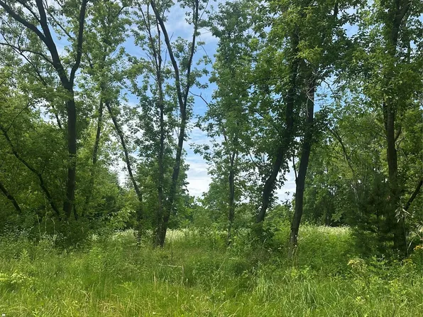 Vl Lakeview Park Dr, Fenton, MI 48430