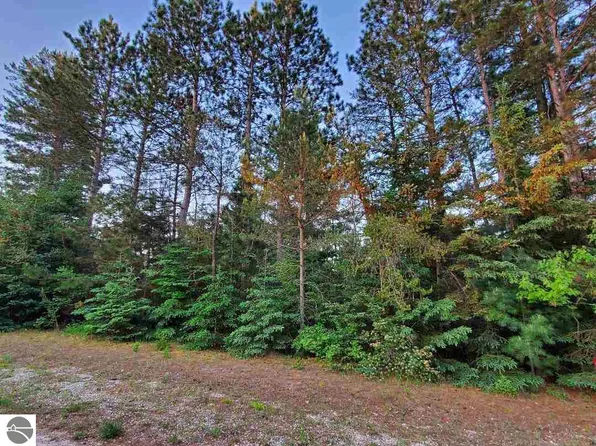 0 Howard St, Mesick, MI 49668