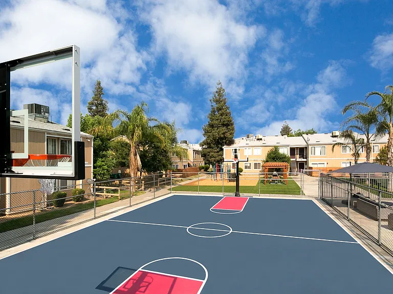 Basketball Court
