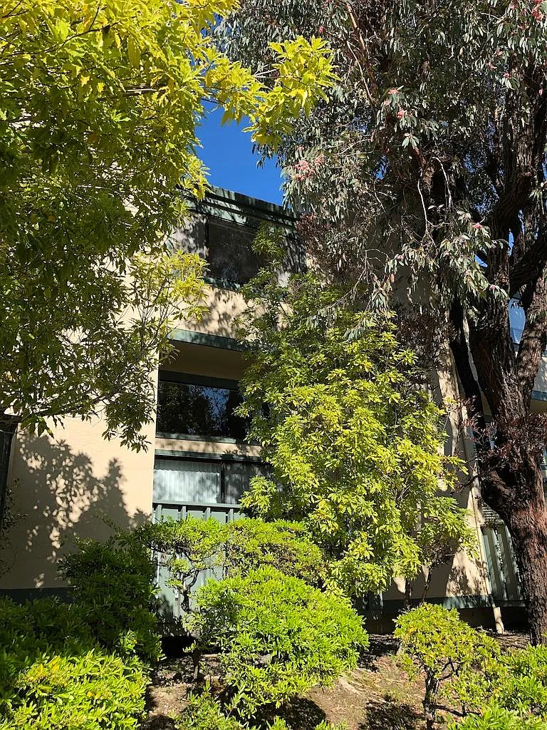 2 bed, 1.5 bath, 1350 sqft, $4,300 — Photo 2