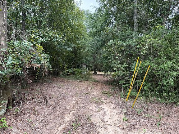2nd image of 718 Williston Rd
