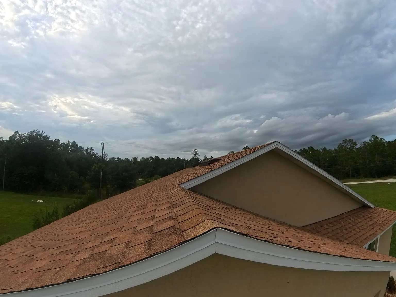 3 bed, 1290 sqft, $2,000 — Photo 2