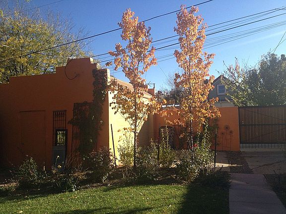 backyard in the Fall