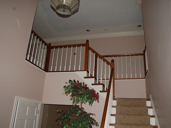 5th image of 8800 Windtree Ct
