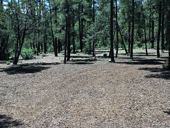 2nd image of 3861 Sugar Pine Way