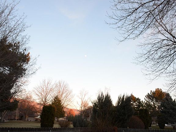view from the backyard