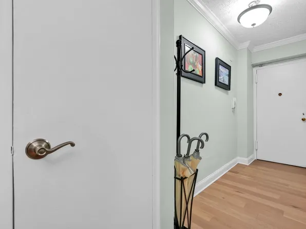 57 Montague Street image 11 of 26