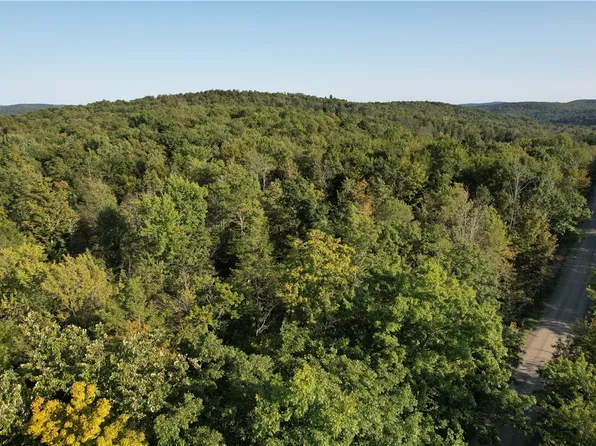 LOT 6 Lockwood Run Rd #6, Lockwood, NY 14859