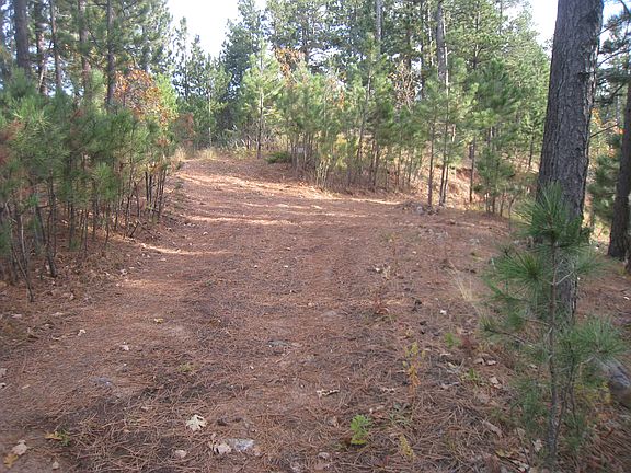 5th image of Crook City-crook Mountain Road