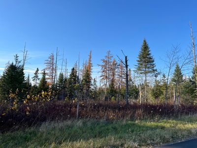 0 Albair Road, Caribou, ME, 04736