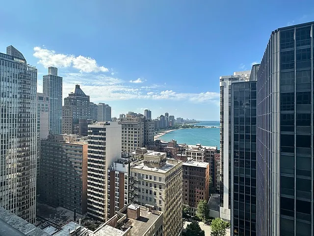 253 E Delaware Pl #16E — Photo 7
